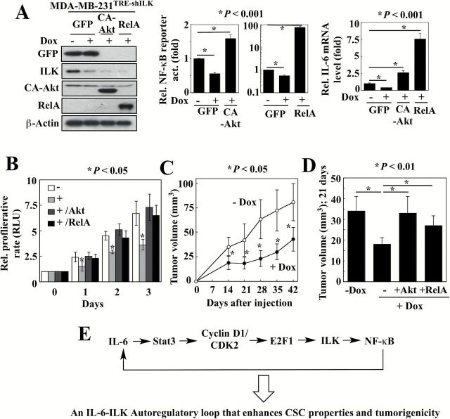 Figure 5.