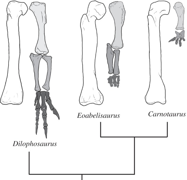 Figure 3.