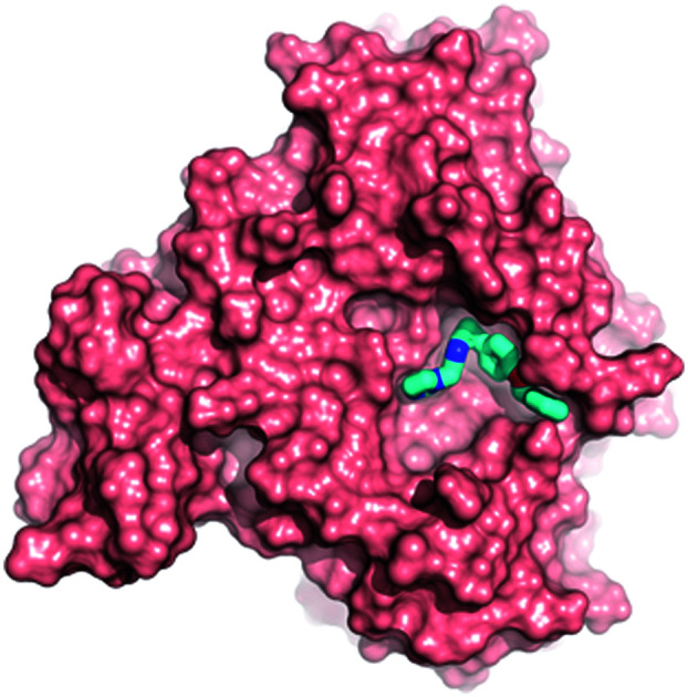 graphic file with name d1cb00046b-ga.jpg