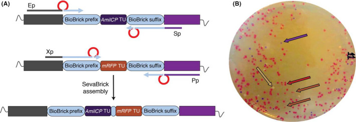 Fig. 4