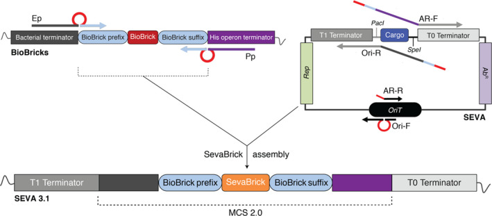 Fig. 2