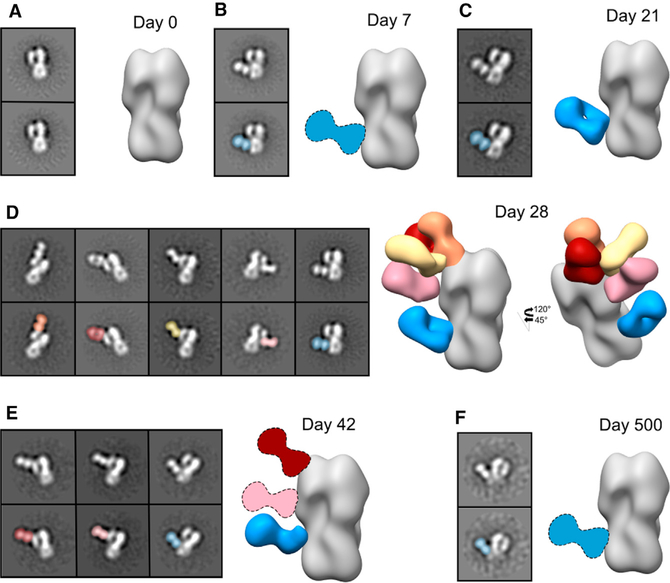 Figure 3.