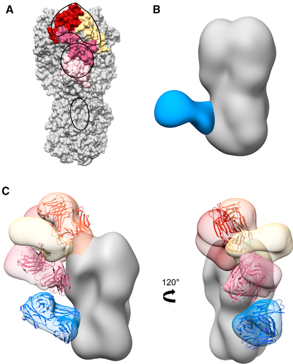 Figure 7.