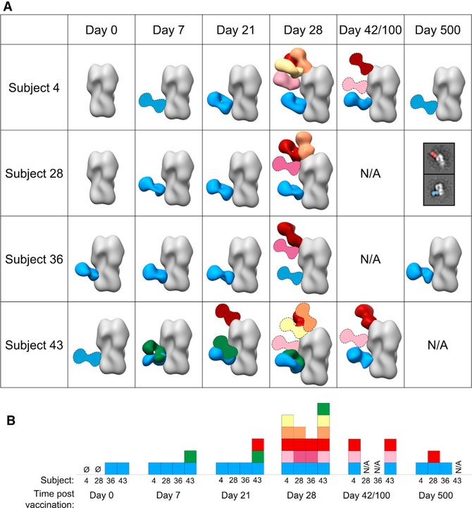 Figure 4.