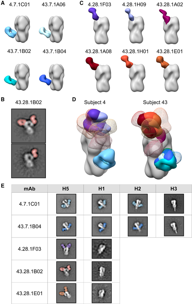 Figure 5.