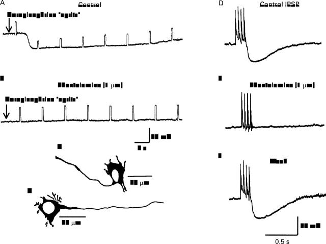 Figure 5  