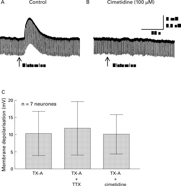 Figure 3  