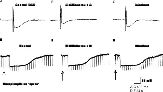 Figure 6  