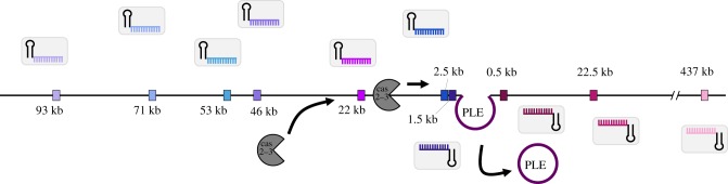 Figure 7.