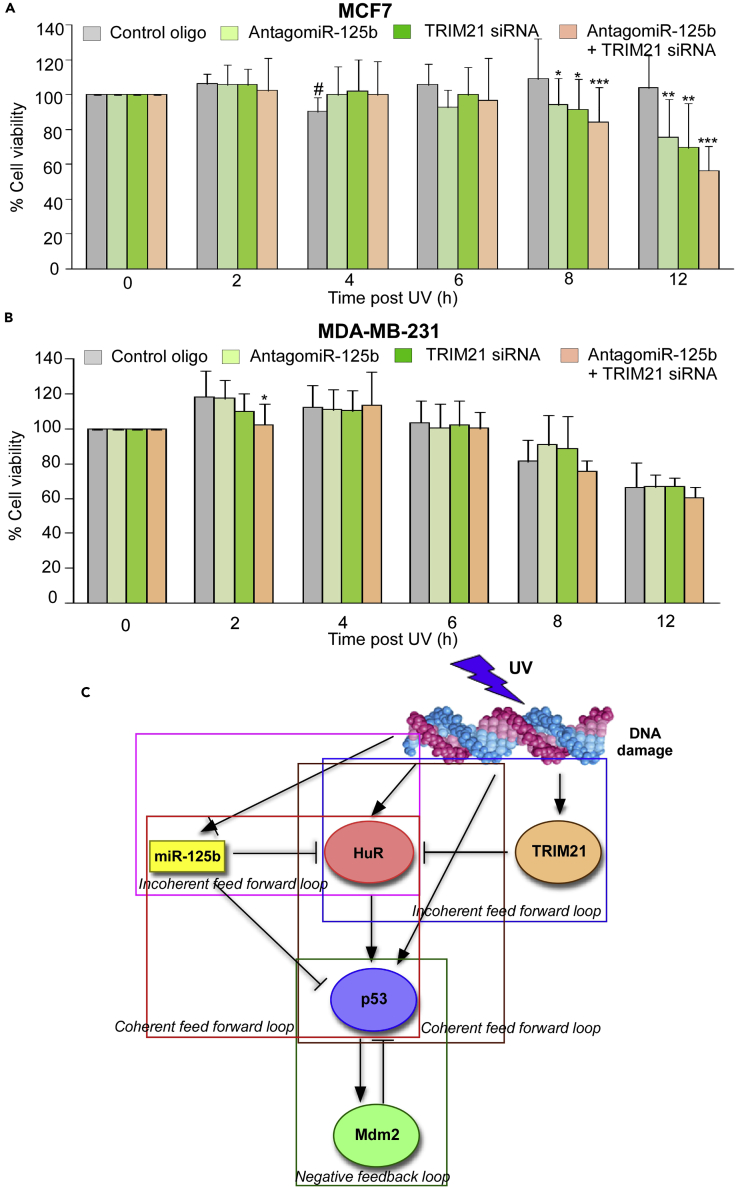 Figure 7