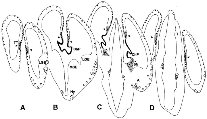 Fig. 9.