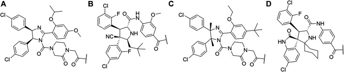 FIGURE 8
