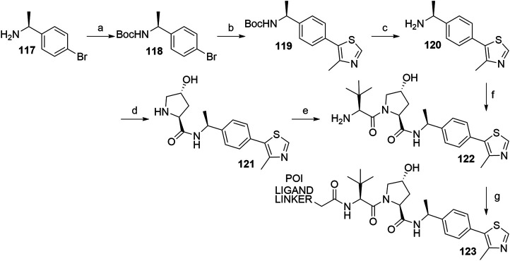 SCHEME 24