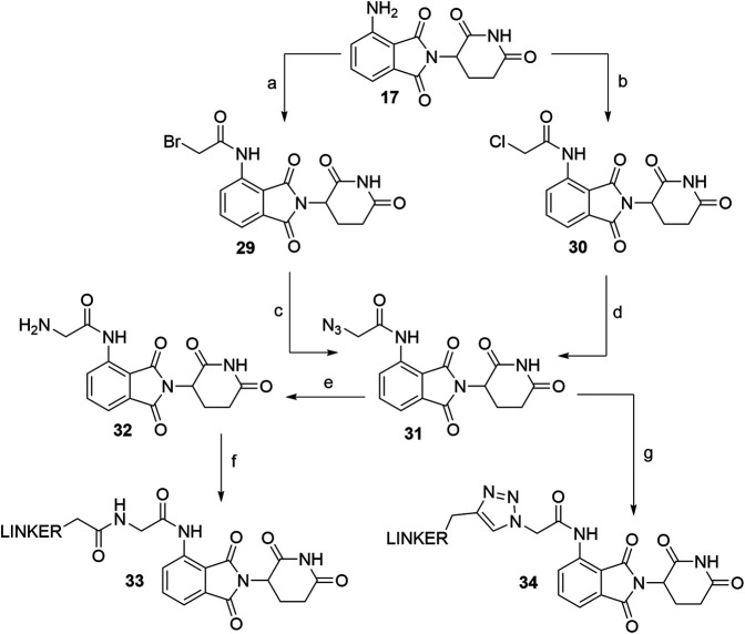 SCHEME 7