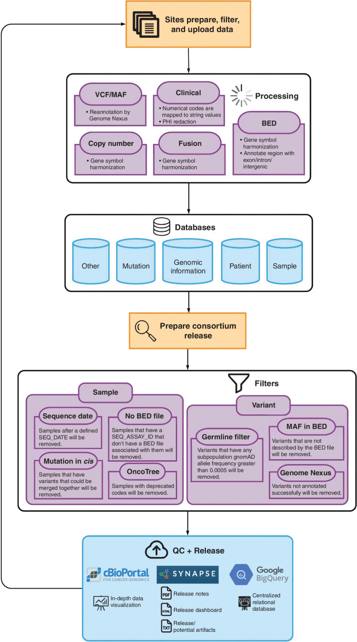 Figure 2. Workflow for variant filtration from site upload to analysis ready calls. The flowchart depicts the processing workflow of the GENIE data from the sites to the final data release. Sites prepare, filter, and upload data according to a prespecified format to the Synapse platform. Automated processes perform quality assurance checks and harmonize data across sites by mapping clinical data and genomic variants to standardized terminologies. Harmonized files representing patient, sample, mutation, and other information are then processed through sample and variant filters to remove out-of-scope data or potential artifacts. After filtering, final quality control checks are performed, and the public data releases are made available to users on Synapse and cBioPortal.