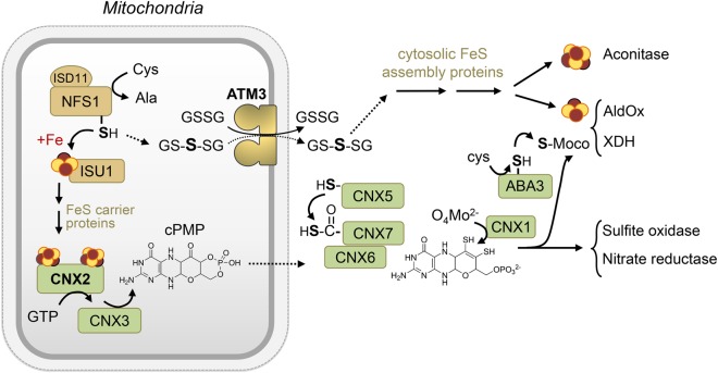 Figure 1.