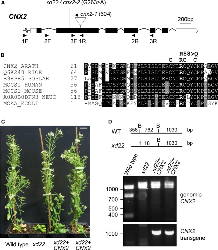 Figure 4.