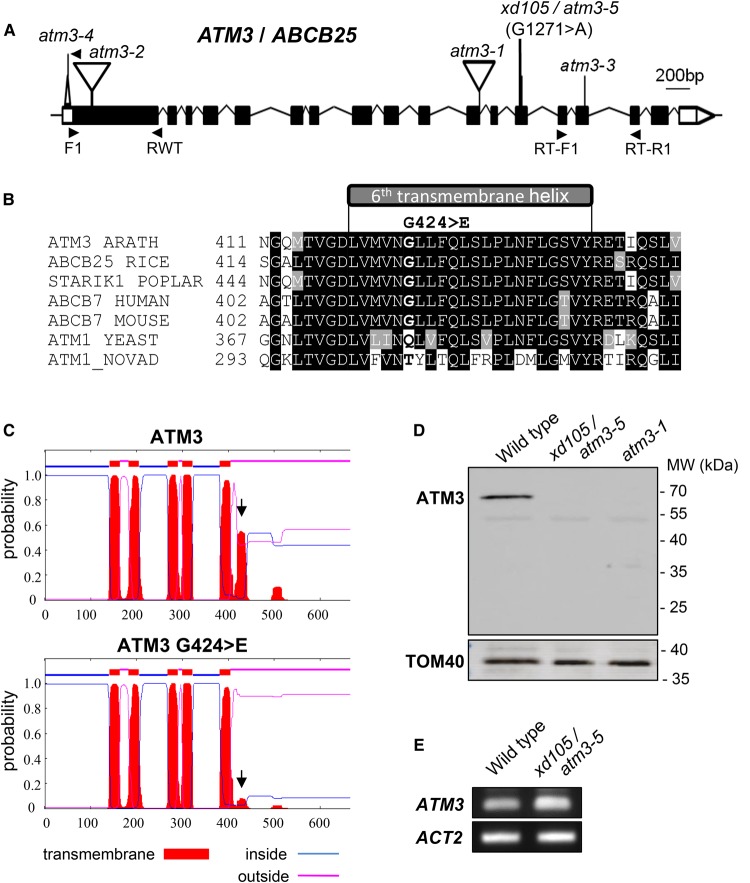 Figure 3.