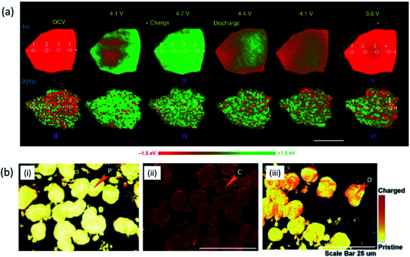 Fig. 13