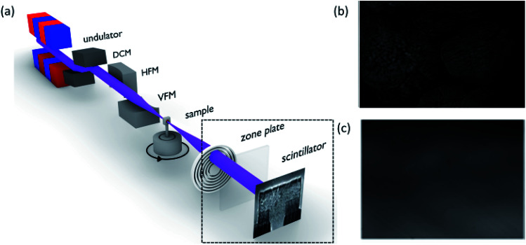 Fig. 12