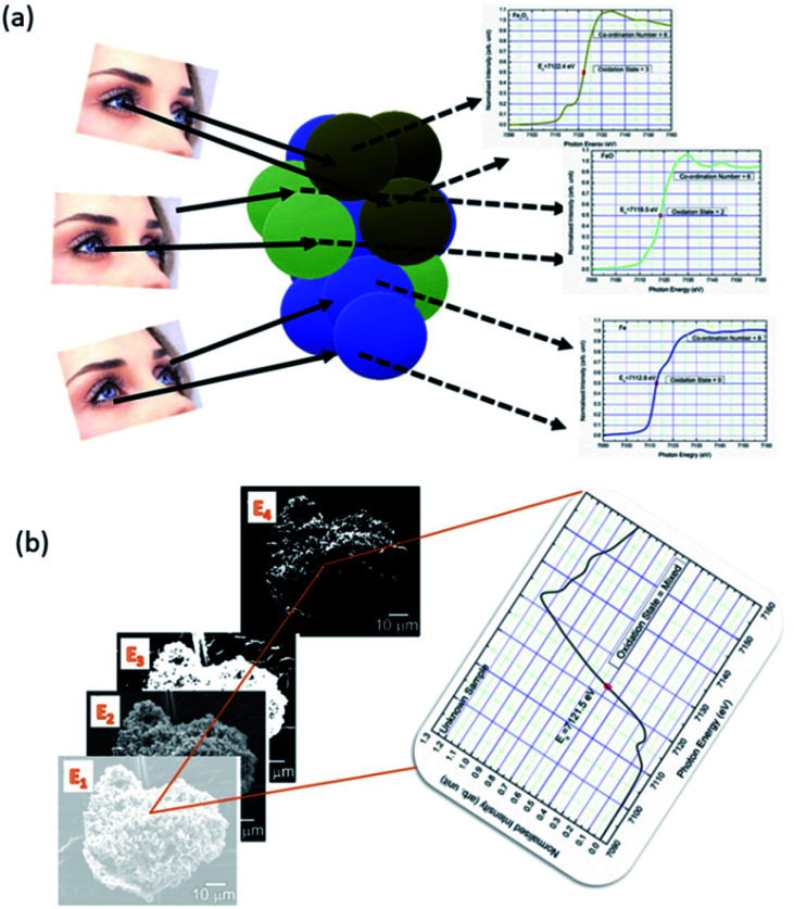 Fig. 11