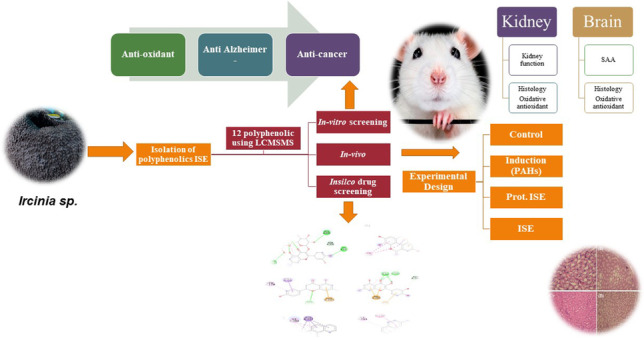 graphic file with name 11356_2023_27916_Figa_HTML.jpg