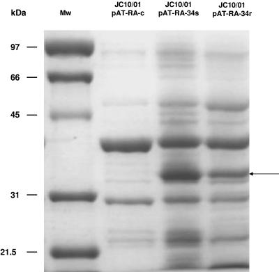 FIG. 2.