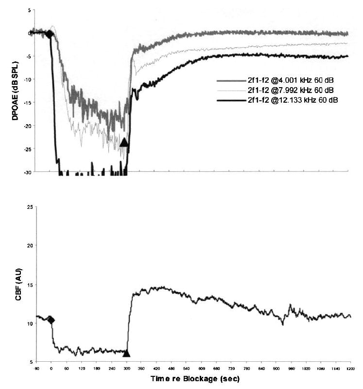 FIG. 6