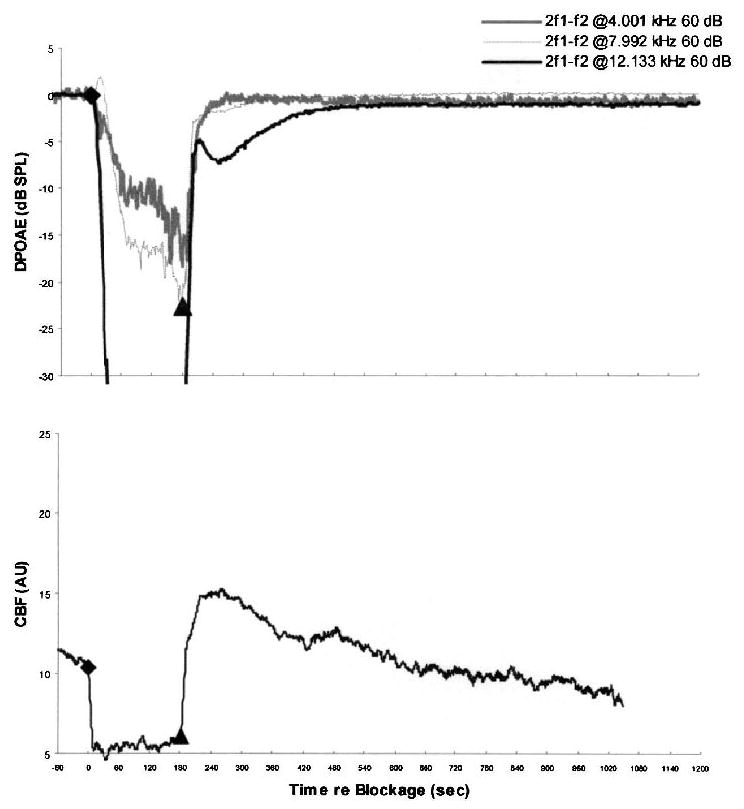 FIG. 5