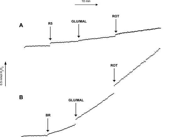 FIGURE 3