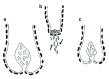 Figure 9.