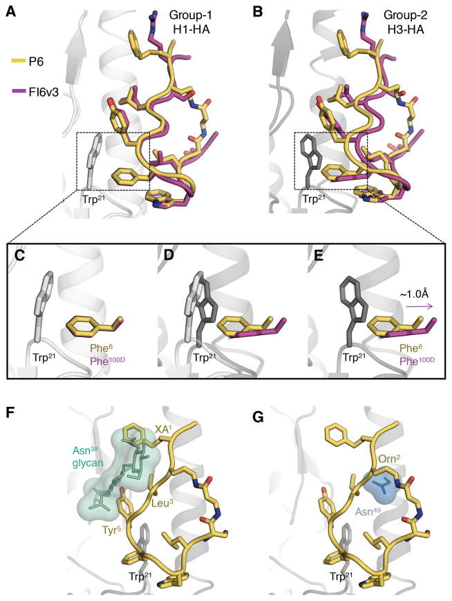 Fig. 4