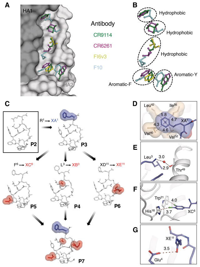 Fig. 3