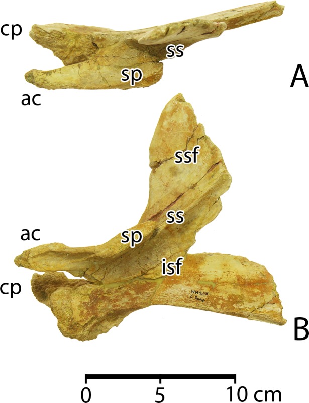 Fig 15