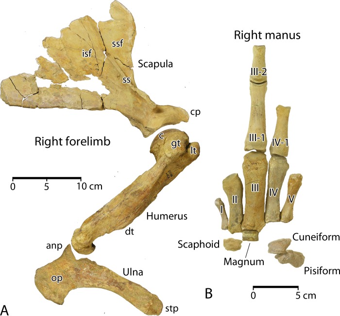 Fig 14