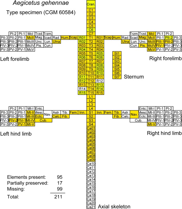 Fig 5