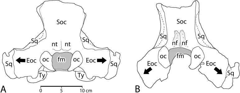 Fig 20