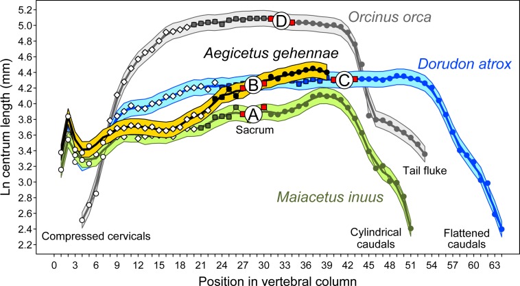 Fig 25