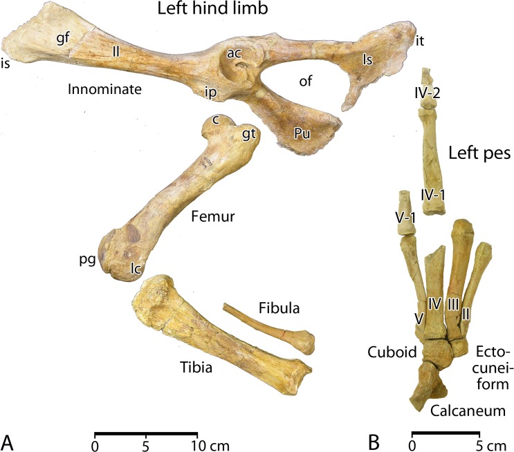 Fig 16