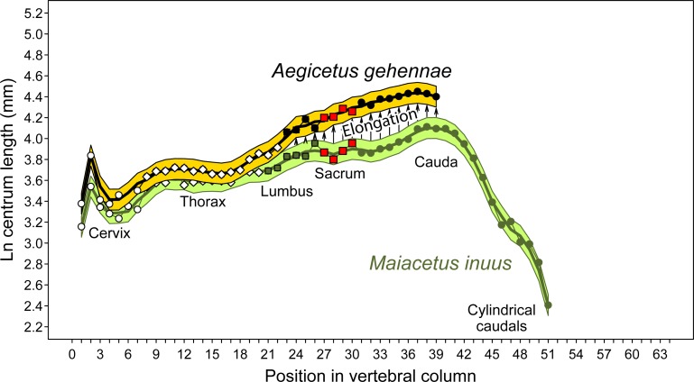 Fig 21