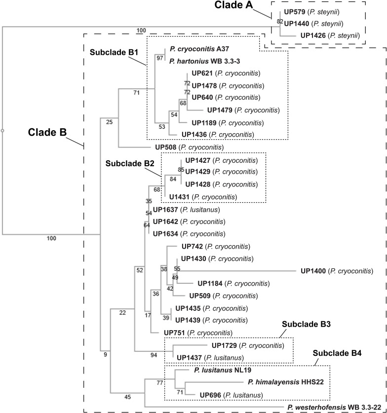 FIGURE 2