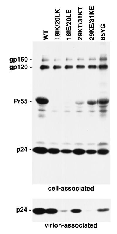 FIG. 3