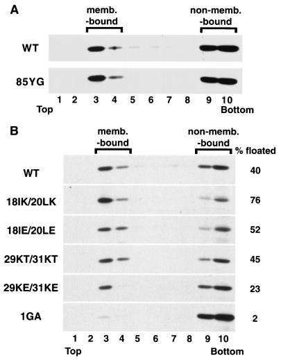 FIG. 5