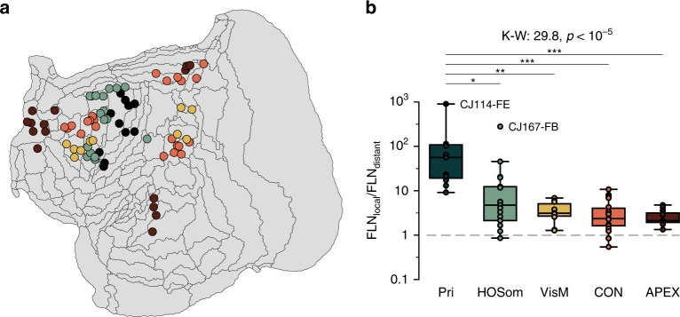 Fig. 7