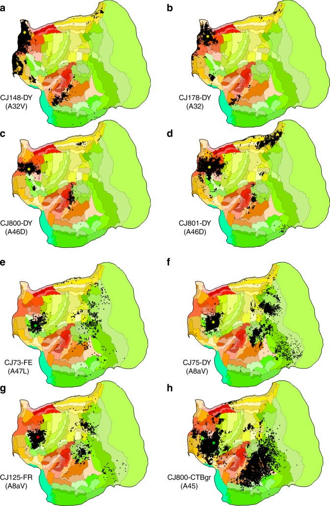 Fig. 6