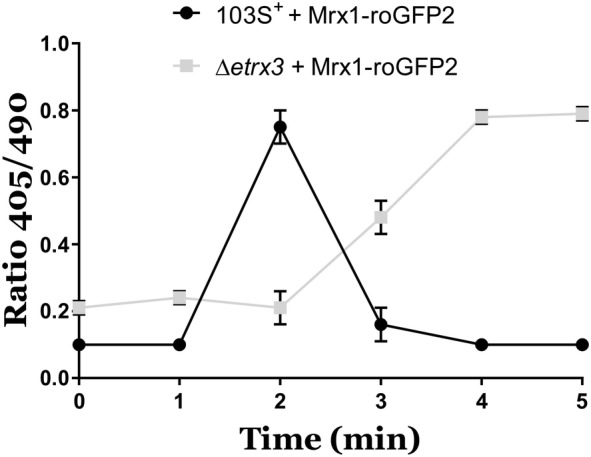 Figure 4