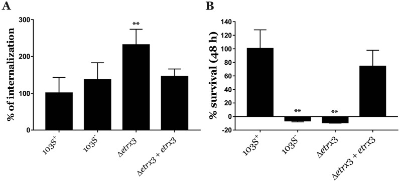 Figure 2