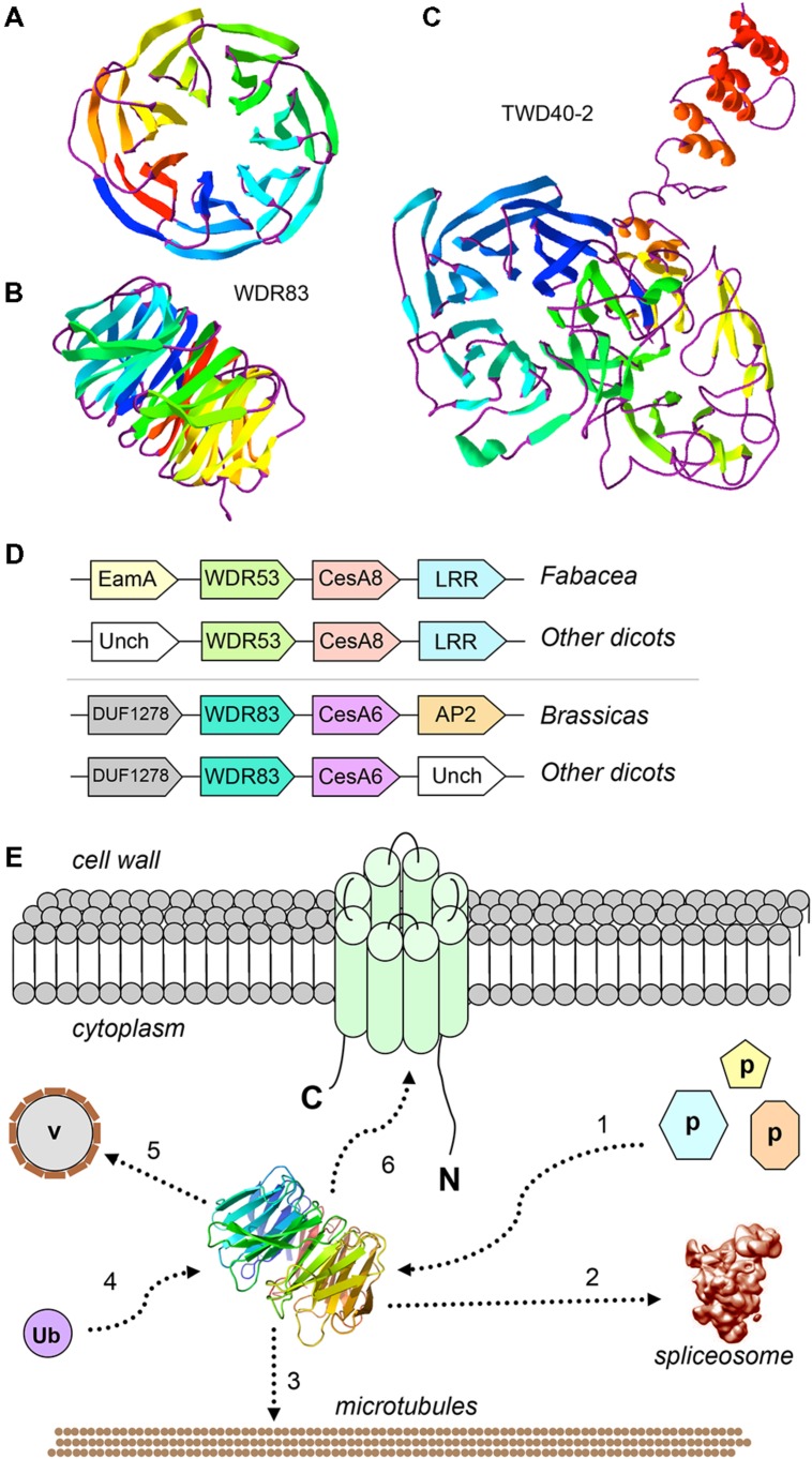 FIGURE 1