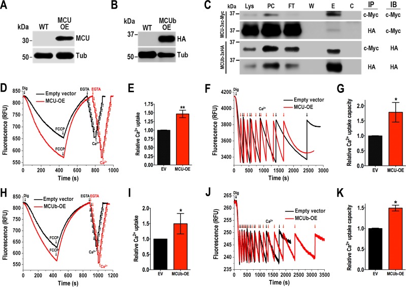 FIG 2 