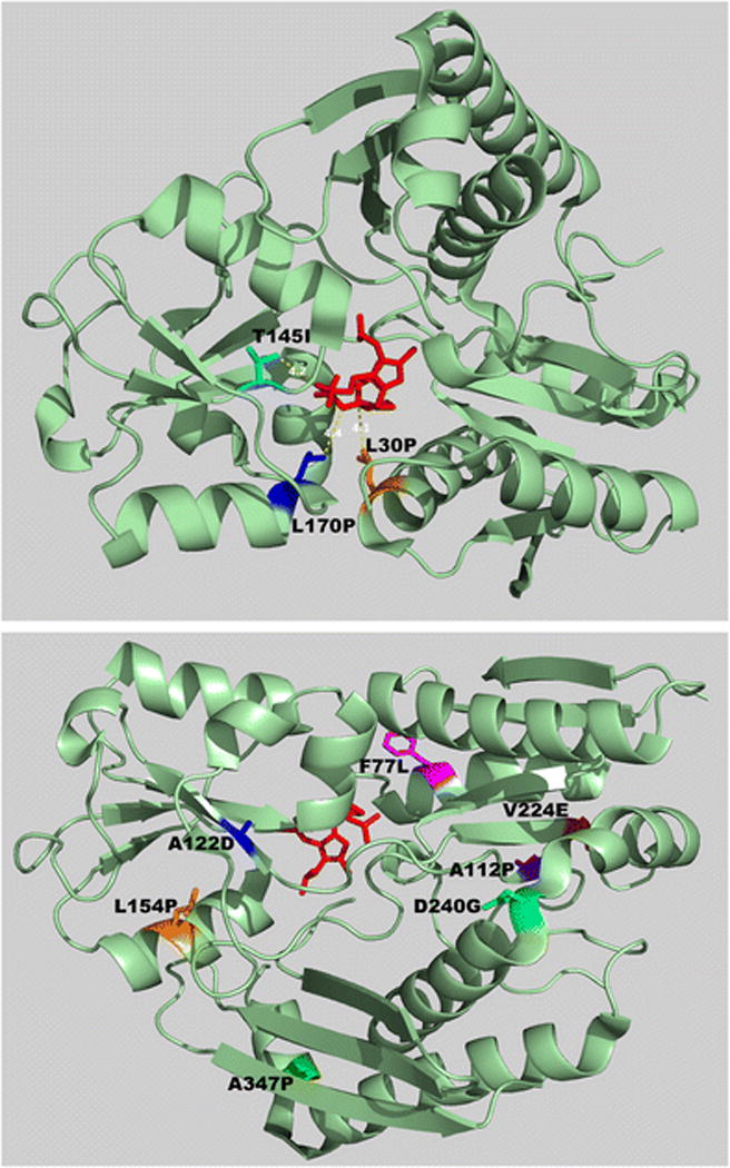 Figure 4